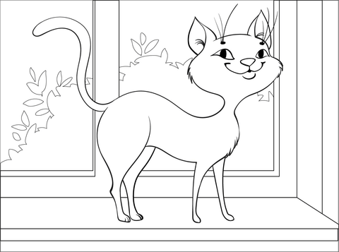 Black Cat Coloring Page